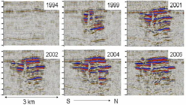 Figure  1.2  Time  lapse  seismic  data  in  the  Utsira  Formation.  The  bright  amplitudes  reveal  the  presence of injected CO 2 