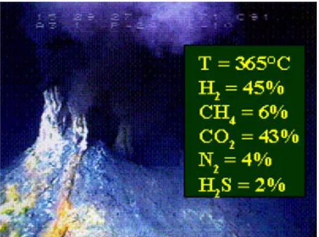 Figure II-6 : Exemple de composition des gaz dans le fluide de Rainbow (36°14'N-MAR) : fumeur noir de  la  dorsale  médio-océanique  atlantique