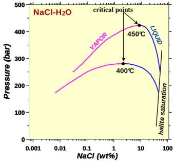 Figure  II-8.  Scheme  of  the  rocking  Ti  autoclave  used  in  vapor-liquid  partitioning experiments at 400°C and 450°C