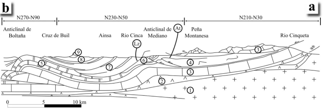 Figure 1.4.  Section  structurale à travers  le bassin d’Ainsa (zone d’étude), depuis le chevauchement de Pena 