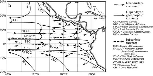 Fig. 1.13: Schéma de la circulation océanique superficielle dans l’Est du Pacifique tropical, d’après Kessler 