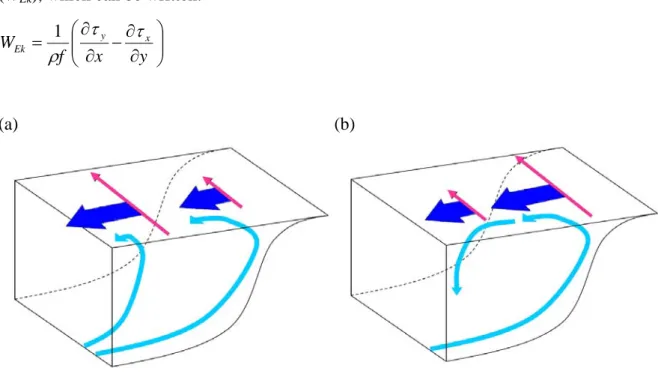 Fig. 1.3: Schematic of the effect of Ekman Pumping on a southern hemisphere EBUS. The pink arrows are for 