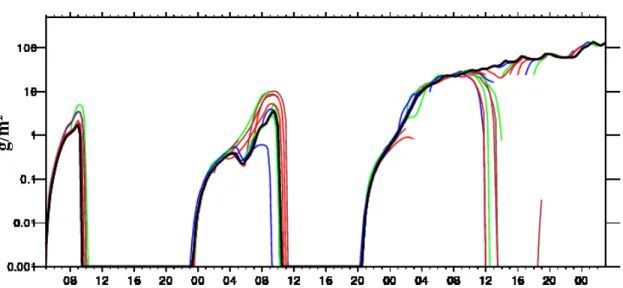 Fig. 3.1: Eau liquide cumulée sur la verticale ; état réel (ligne noire) et simulations (en couleur) sur les trois premiers jours de la situation FOG.