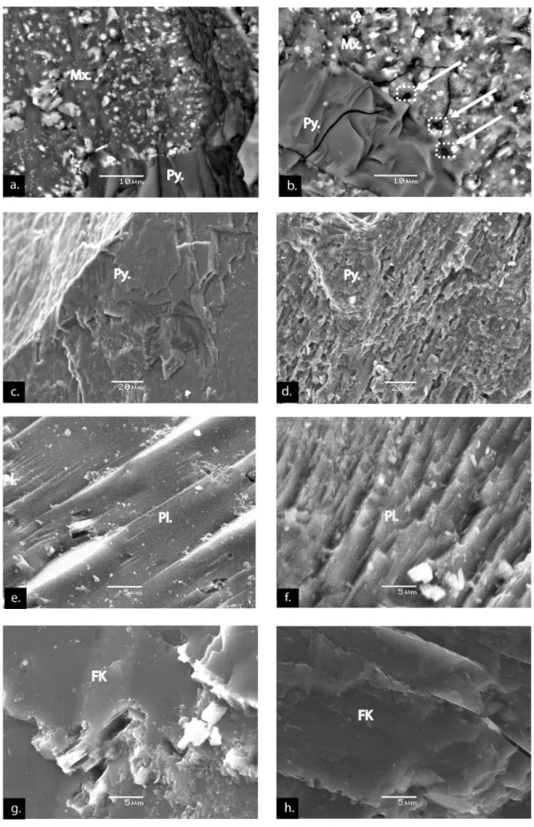 Figure III- 5: SEM (Back-scattered electrons) photos of unaltered (left column) and altered (right column) powder  after five months experiment (125-500  µ m, W/R=70)) (basalt: a, b; tonalite: c, d, e, f; Granodiorite: g, h)