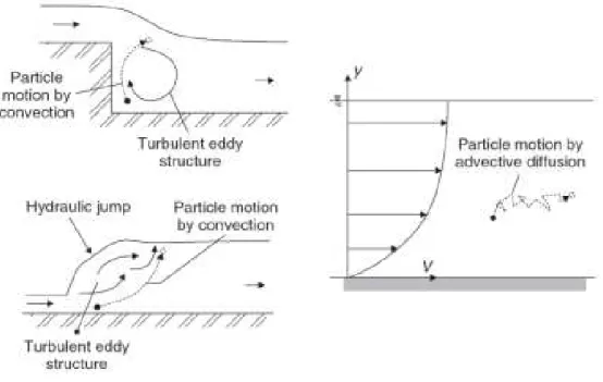 Figure 2-4: Suspended sediment motion by convection and diffusion processes                (Huber Chanson, 2004) 