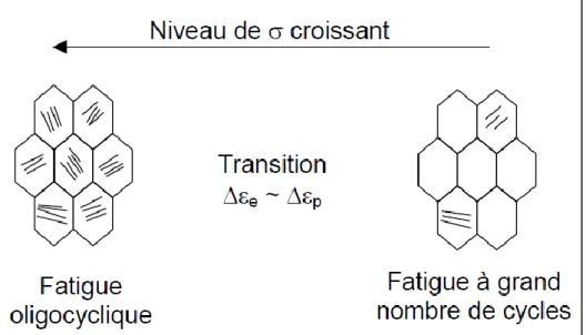 Figure I. 16 : Distribution de la déformation plastique dans le domaine oligocyclique et le domaine à  grand nombre de cycles [81] 