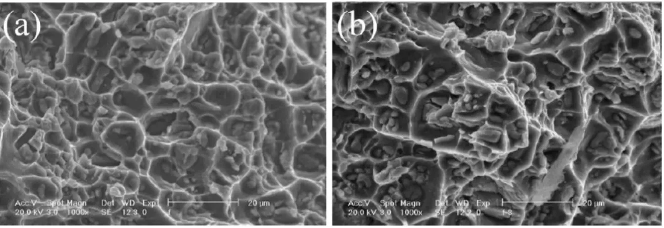 Figure I. 21 : Faciès de rupture de deux éprouvettes testées, respectivement à déformation imposée; (a)  0.5% et (b) 0.8%, T=200°C [37] 