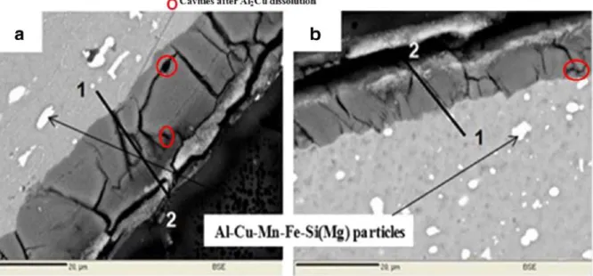 Figure I. 28 : Présence des particules de Al-Cu-Mn-Fe-Si(Mg) dans le substrat et des cavités après la  dissolution des particules de Al 2 Cu dans le film de l'alliage 2017 anodisé après recuit(a) et après 