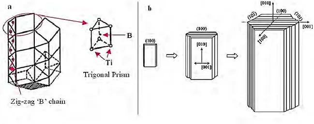 Figure 1.11. Crystal structure of TiB: a) Stacking up trigonal prisms with B zigzag chain  (Panda et al., 2006), b) TiB whisker growth (Feng et al., 2006)