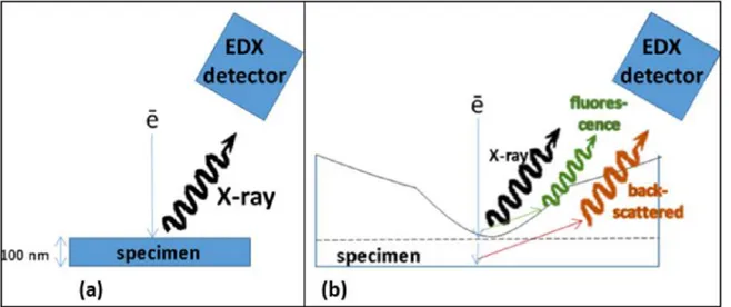Figure 3.4: Schematic illustration of the inuence of the specimen geometry on EDX artifacts (secondary X-rays created by uorescence and backscattered electrons) in  spec-imens prepared using: a) FIB