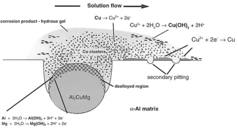 Figure 3 : Mécanisme de dissolution de la phase S provoquant une redéposition du cuivre proposé par Buchheit et al.[13,27] 