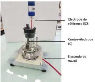 Figure 27 : Cellule à trois électrodes utilisée pour les mesures de spectroscopie d’impédance électrochimique 