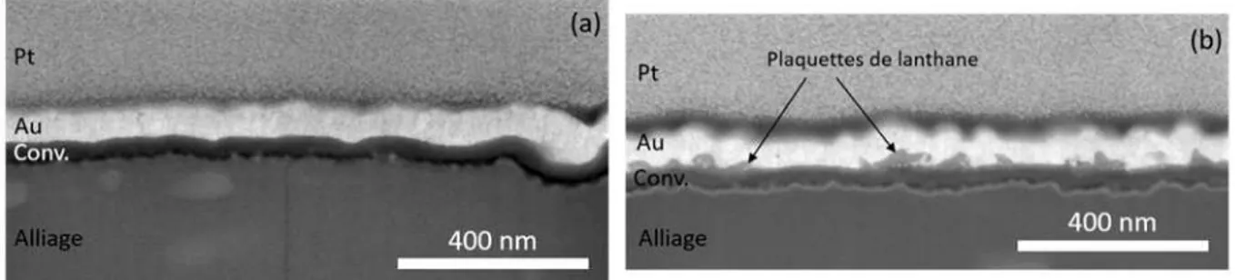 Figure 50 : Coupe transverse de la couche de conversion TCS formée sur le substrat A poli  (MEB-FIB) (tilt 52°) avant (a) et après 