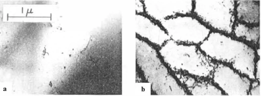 Figure  I-34  :  Cellules  de  dislocations  observées  au  sein  du cuivre  déformé  en  fatigue  à  température  ambiante