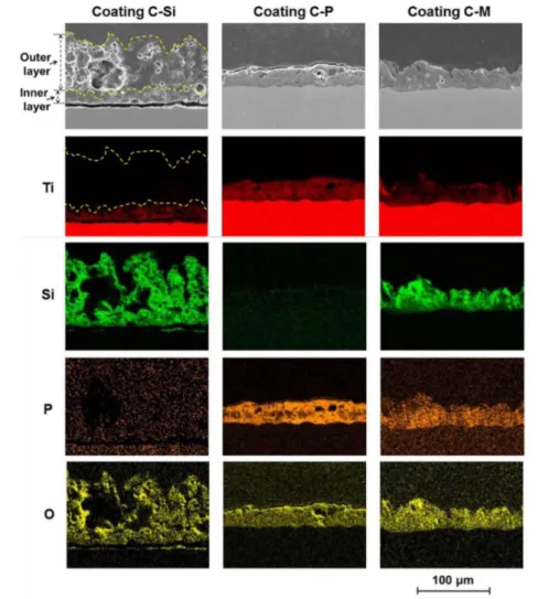 Figure III-3 : Morphologies et distribution élémentaire au sein de plusieurs revêtements OMA [37] 