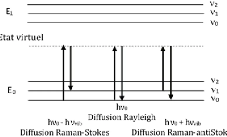 Figure 2-10 : Schéma décrivant les diffusions Raman-stokes, Reyleigh et Raman-antiStokes
