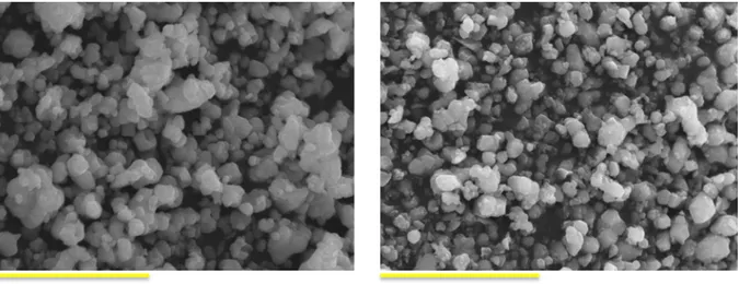 Figure 2.9. SEM images of (a) BT-A and (b) BT-B powders. Particles size: BT-A: 0.48 – 1.25 µm; BT-B: 0.46  – 0.81 µm
