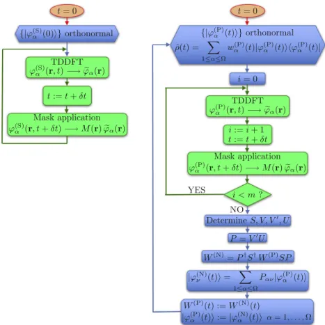 Fig. 1. Flowchart of the standard scheme (left) with a fine time step dt, and of the new scheme (right) using the propagating set f u ðPÞ a g propagated in TDDFT using the same