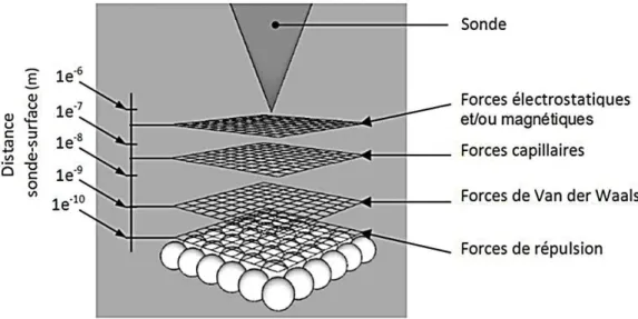 Figure II-5: Représentation des différentes forces d’interaction en fonction de la distance sonde-échantillon