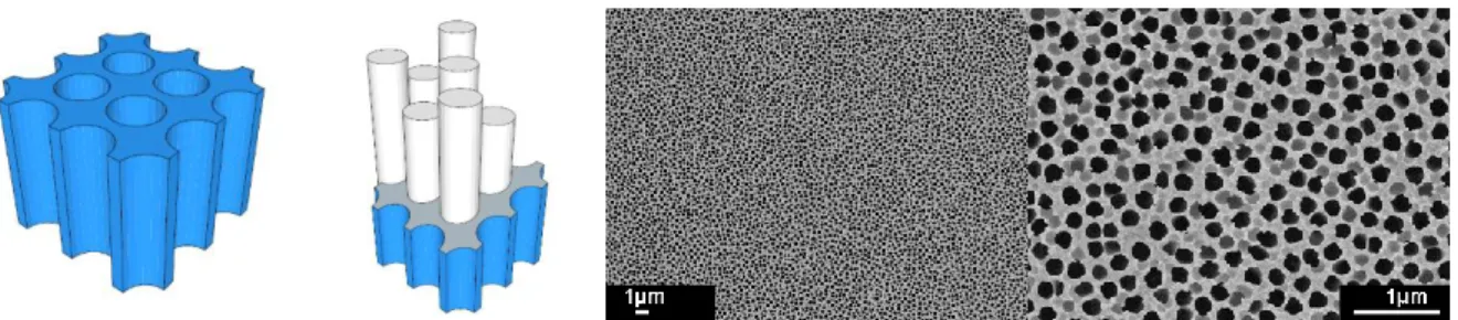 Figure 22 : Membrane poreuse utilisée pour la réduction électrolytique d’ions métalliques 