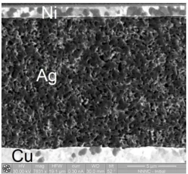 Figure I.4 : Section d’un assemblage de puce sur substrat de cuivre  réalisé par frittage de nanoparticules d’argent 12