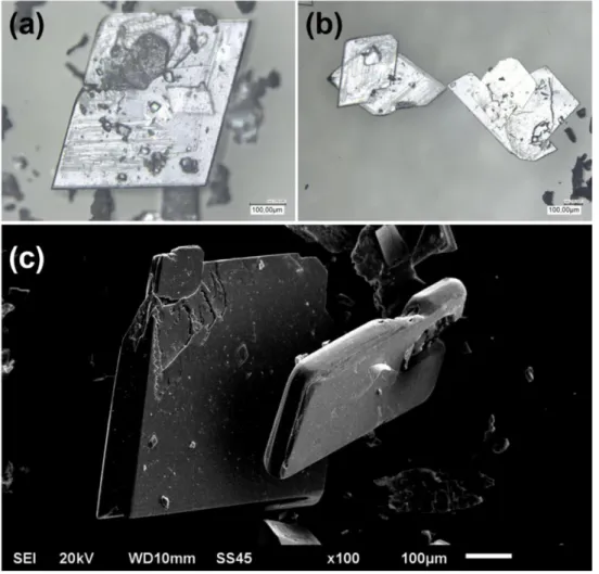Figure III.27 : Morphologie des cristaux de formiate d’étain ForSn3 observée au  microscope optique (a et b), électronique (c) 