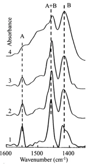 Figure 6 Spectres infrarouges centrés sur le domaine de vibration ν 3  CO 3 . Les différents spectres 