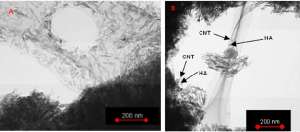 Figure 8 Images en microscopie électronique à transmission de la synthèse d'apatites nanométrique (A)  et du composite nanotube de carbone/apatite nano (B) reprit des travaux de Ustundag et al.[79]