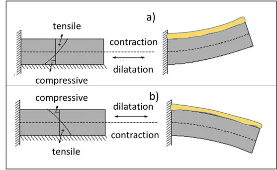 Figure 15: Stress distributions in a fixed cantilever and its respective deflection 