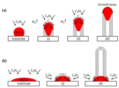 Figure  1-4 :  Croissance  des  nanotubes  de  carbone  sur  particule  métallique  :  (a)  « tip-growth  model »,  (b)  « base- growth model » 16