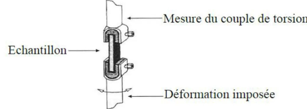 Figure 19 : Représentation schématique de la cellule de mesure de l’AMD 