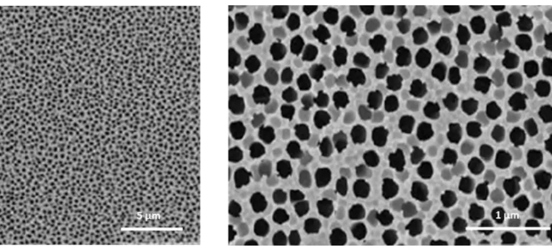 Figure 13 Images MEB de la surface d'une membrane en oxyde d'aluminium de Whatman. 