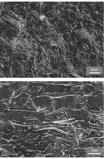 Figure 36 : Images MEB de la dispersion des fils dans un composite PVDF-1,23 %vol Au NW à deux échelles