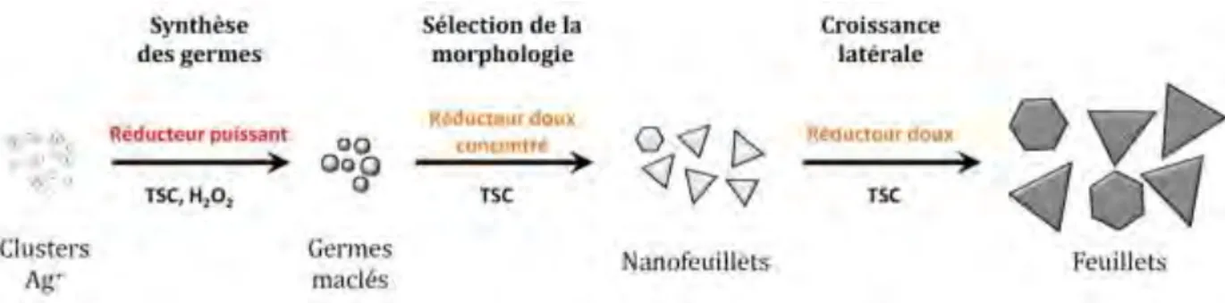 Figure 6  : Représentation schématique des trois étapes élémentaires d'une cristallogenèse par  étapes