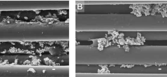 Figure 16  : Fibres ensimées par la formulation A) avant et B) après avoir été portées à 360  °C  pendant 10  min