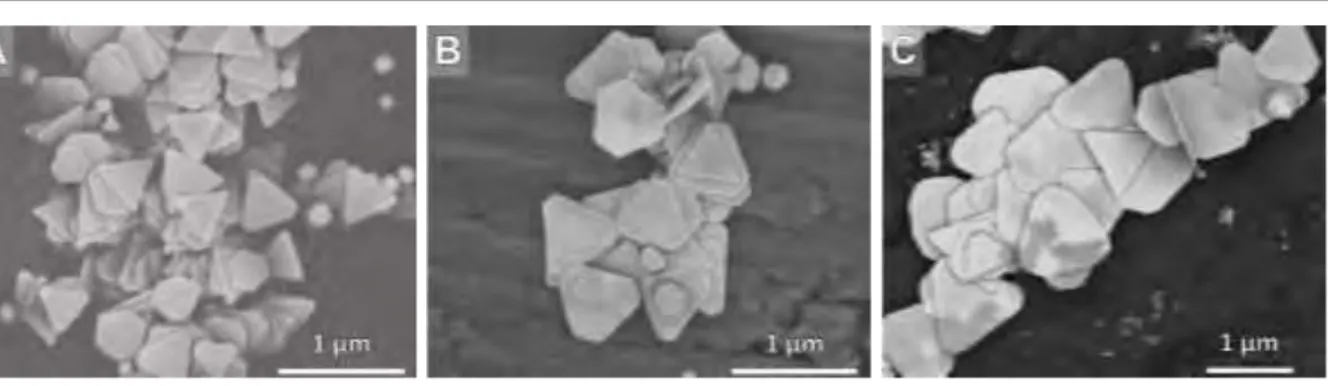 Figure 35  : Croissance par itération des feuillets submicroniques aux rangs A) n = 1, B) n = 2  et C) n = 3