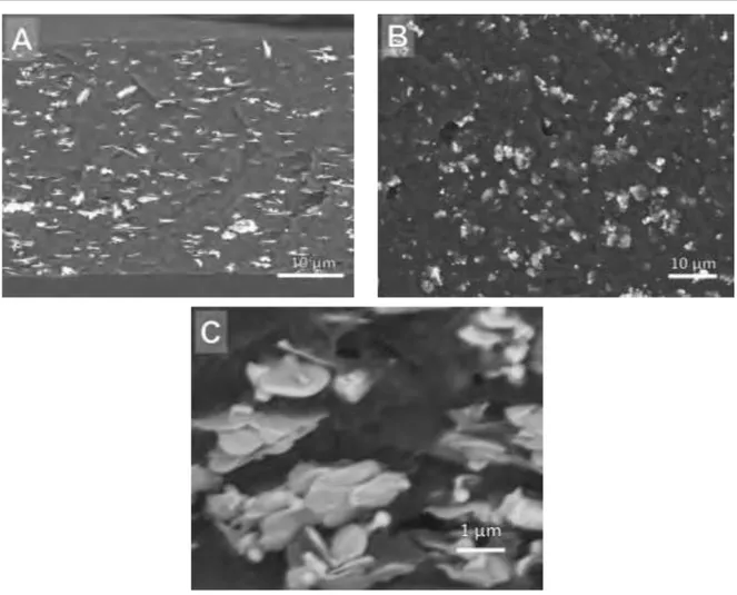 Figure 38  : Images MEB de dispersions des composites PVDF / AgNPts. Observation A) sur la  tranche (4  %.vol) ; B) sur la surface (6  %.vol) et C) Interface entre le polymère et les charges 