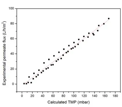 Figure 3.7: Permeate fluxes obtained at different TMPs calculated from the model.