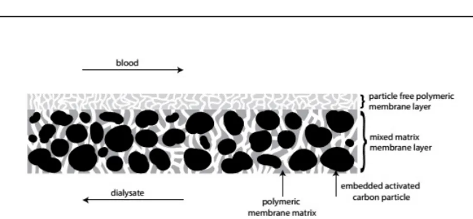 Figure 1.16: Schematic representation of double-layer mixed matrix membrane for blood purification [10].