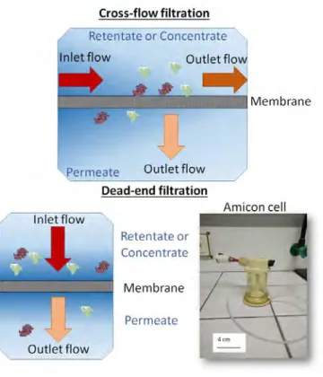 Figure 1.4: Diagram for the different operation modes: cross-flow and dead-end filtration.