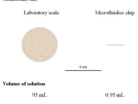 Figure 1.8: Comparison of membrane area and filtration volumes necessary for a typical laboratory-scale filtration device (left) and a membrane inserted inside a microfluidic device (right).