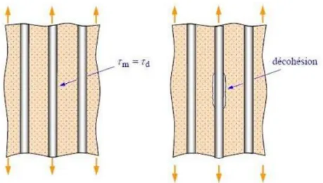 Figure II. 6. Longitudinal traction: fracture of the fiber-matrix interface  [ 3 ]