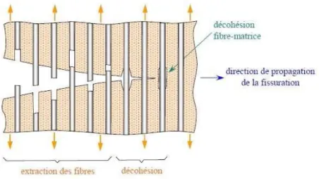 Figure II. 8. Crack growth in the case of weak adhesion fiber-matrix  [ 3 ]