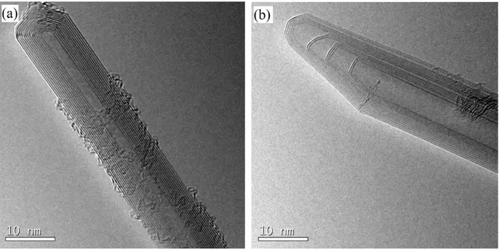 Fig. 2.3 - HRTEM images of c-MWCNTs-a showing (a) a 13-wall CNT with closed tip and (b) a 12-wall CNT with  closed tip