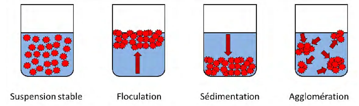 Figure 2.2 : Etats physiques existants après la dispersion des nanoparticules dans un solvant