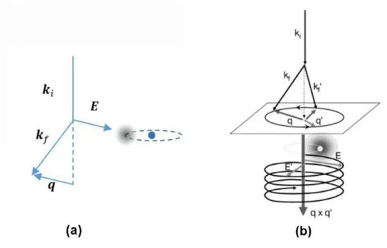 Fig.  1.6.  (a)  The  Fourier  component  of  