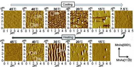 Fig.  2.6.  12 MFM  images  of  the  100nm-thick  MnAs  film  on  GaAs(001)  at  various  temperatures