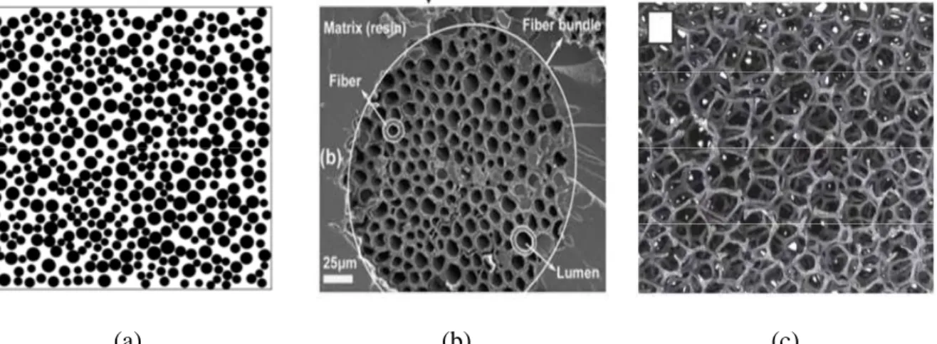 Figure 3 Différents types de structures internes : granulaire [11] (a), fibreuse [12] (b),  cellulaire [13] (c)