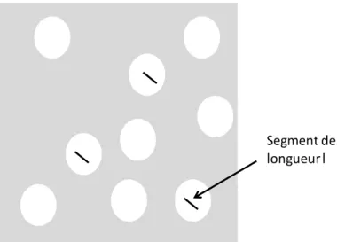 Figure 28 Représentation des segments de longueur l dans la phase  Ω 2Segment de 