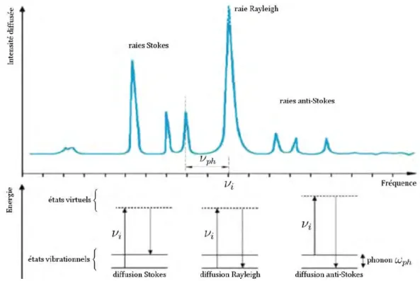 Figure 1.9 – Représentation d’un spectre Raman typique avec la schématisation des niveaux énergétiques correspondants, adaptée de [ Baudo10 ].